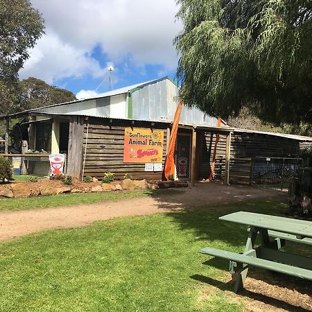 Sunflowers Animal Farm&Farmstay Pensión Margaret River Exterior foto