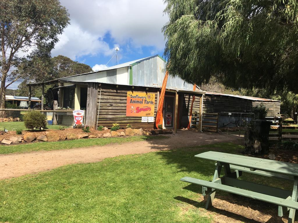 Sunflowers Animal Farm&Farmstay Pensión Margaret River Exterior foto